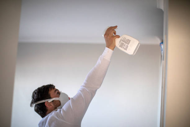 Best Home Mold Removal  in Gearhart, OR
