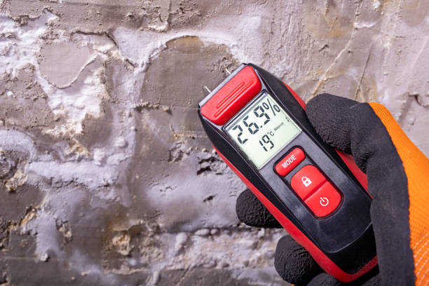 Best Professional Mold Removal  in Gearhart, OR