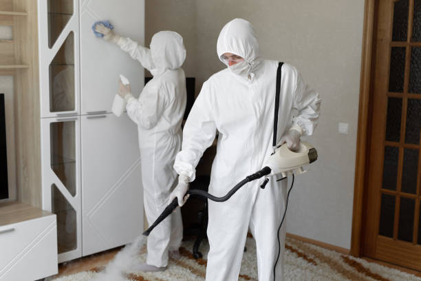 Best Crawl Space Mold Removal  in Gearhart, OR