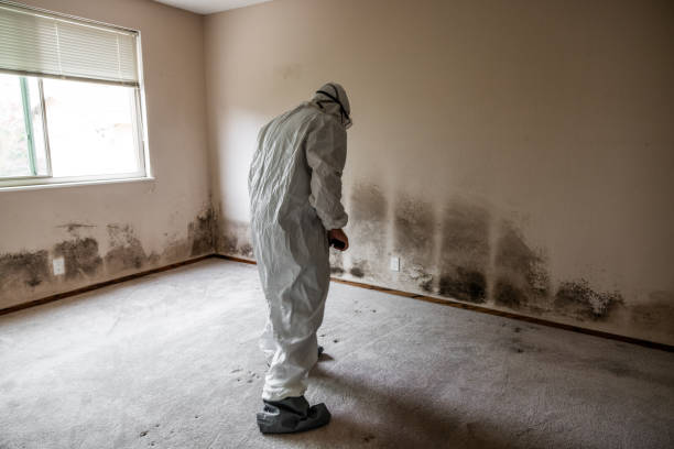 Best Mold Testing  in Gearhart, OR
