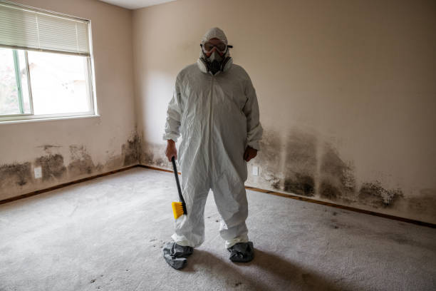 Best Commercial Mold Removal  in Gearhart, OR